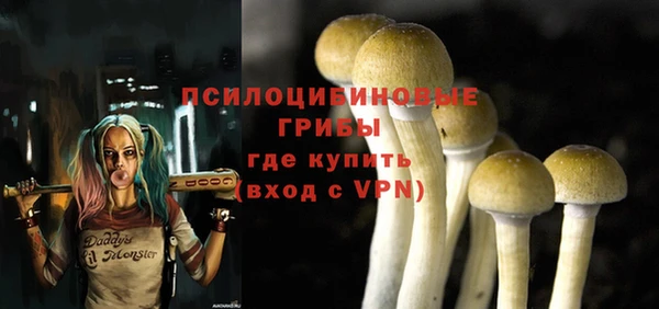гидропоника Краснослободск