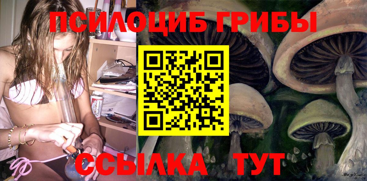 Псилоцибиновые грибы Psilocybine cubensis  Благодарный 