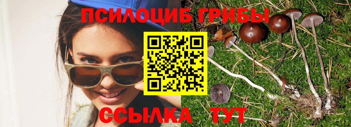 Псилоцибиновые грибы мухоморы Благодарный