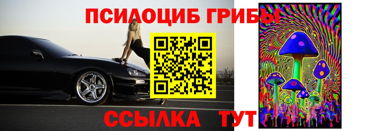 Псилоцибиновые грибы Psilocybe  магазин продажи наркотиков  Благодарный  Псилоцибиновые грибы прущие грибы  Вход с VPN 